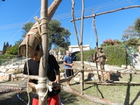 טקס פתיחת שנה2011