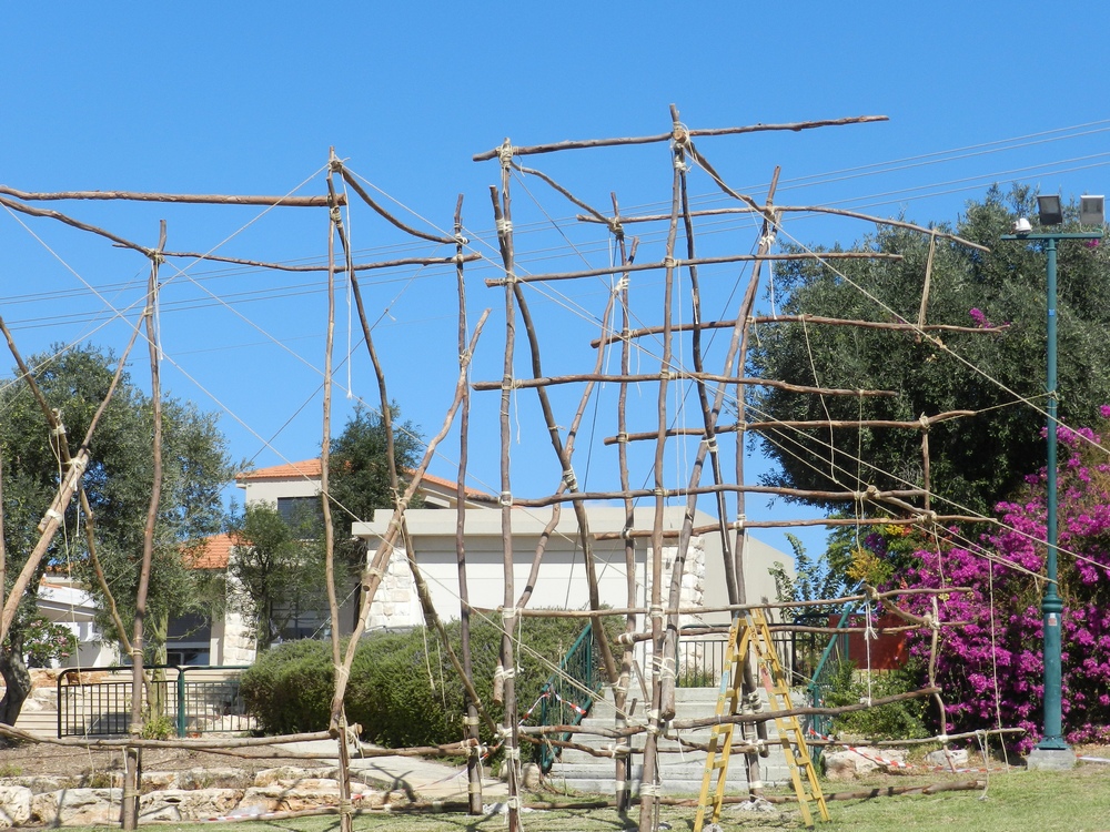 שלד השער